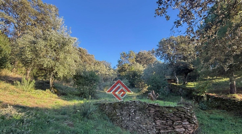 Касерес - Pago de San Clemente - 10562m2