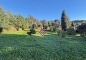 Non-developable land for sale in Trujillo ref: TR360658 photo
