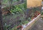 Semi-detached house with land for sale in Vitoria-Gasteiz ref: TR383662 photo