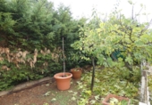 Chalet independiente con terreno en venta en Pioz ref: TR357472 foto