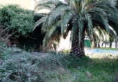 Chalet independiente con terreno en venta en Piedralaves ref: TR34571 foto