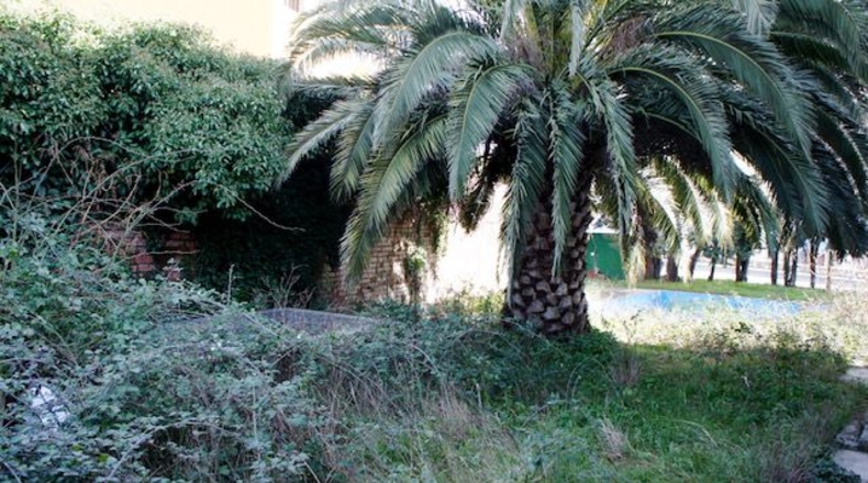 Ávila - Ávila - 824m2