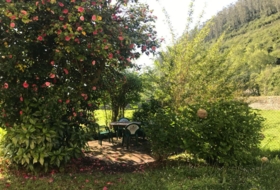 Foto 17