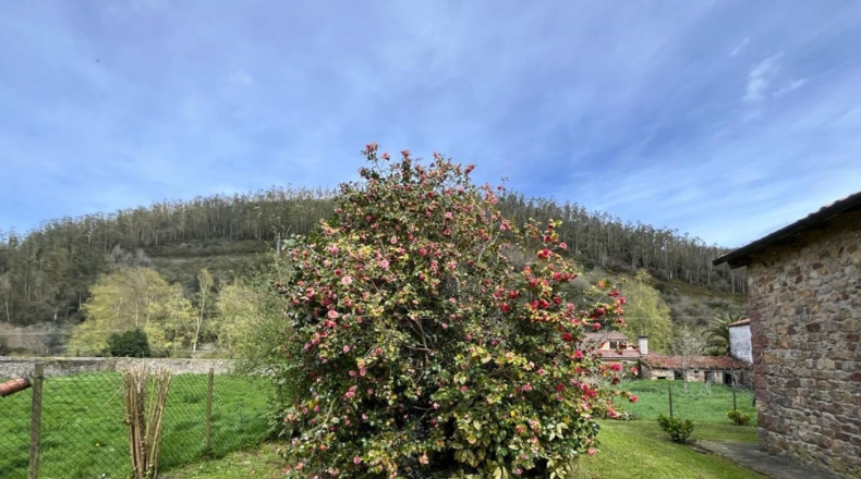 Cantàbria - Treceño - 2863m2