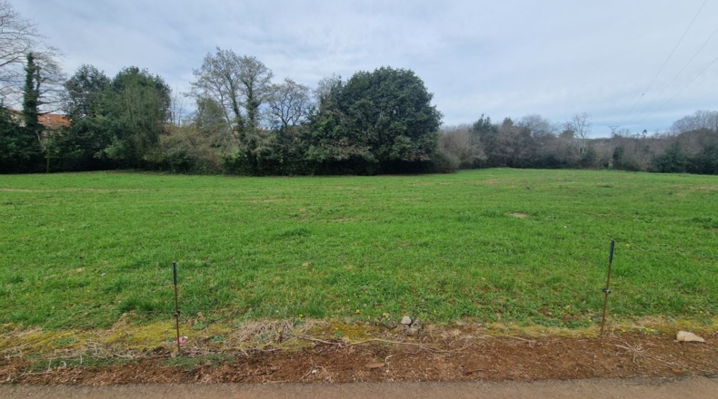 Cantabria - Novales - 4681m2