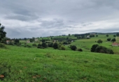 Non-developable land for sale in Torrelavega ref: TR110536 photo