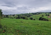 Non-developable land for sale in Torrelavega ref: TR110536 photo
