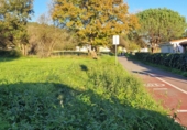 Terreny no urbanitzable en venda a Torrelavega ref.: TR204050 foto
