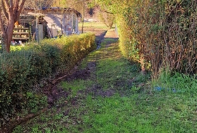 Foto 11