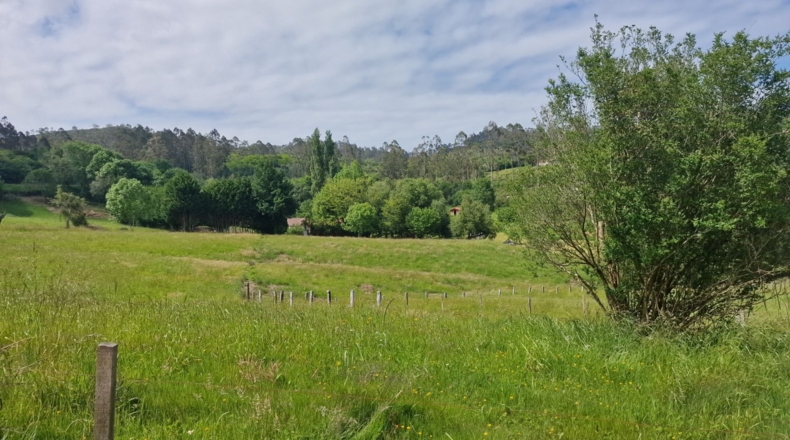 Cantabria - Valoria - 2577m2