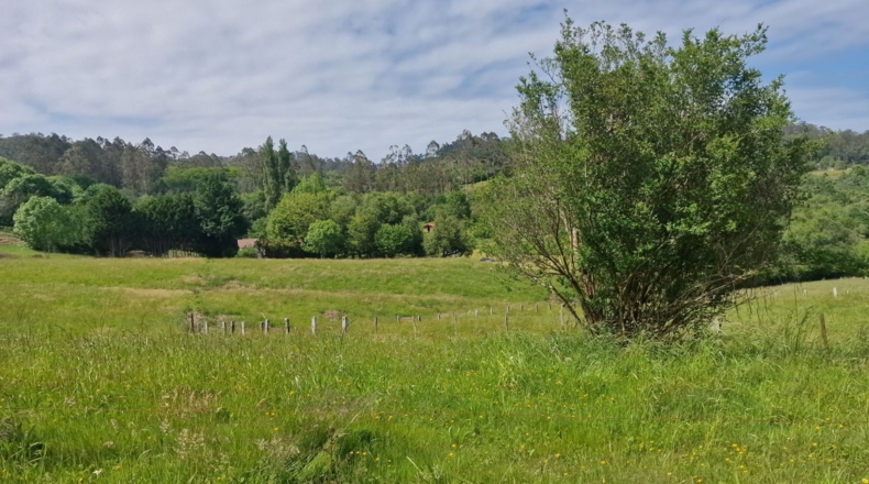 Cantabria - Valoria - 2577m2