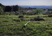 Finca rústica en venda a Arcos de la Frontera ref.: TR201375 foto