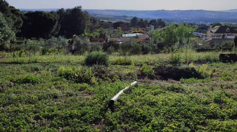 Cádiz - Arcos de la Frontera - 3500m2