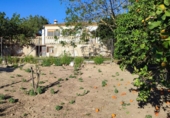 Finca rústica en venda a Arcos de la Frontera ref.: TR201375 foto
