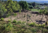 Finca rústica en venda a Arcos de la Frontera ref.: TR201375 foto