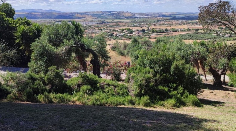 Cádiz - Arcos de la Frontera - 50000m2