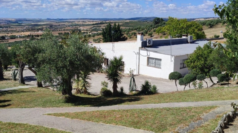Cádiz - Arcos de la Frontera - 50000m2