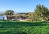 Земля на продажу у города Arcos de la Frontera. Фото