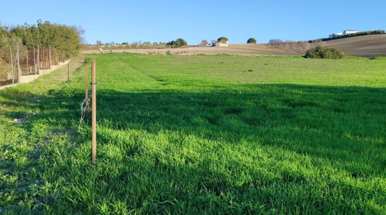 Cádiz - Arcos de la Frontera - 20000m2