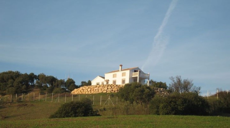 Cádiz - Algar - 20000m2