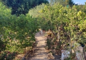 Finca rústica en venda a Arcos de la Frontera ref.: TR210272 foto
