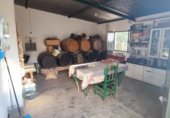 Finca rústica en venda a Arcos de la Frontera ref.: TR210272 foto