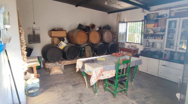 Cádiz - Arcos de la Frontera - 25000m2