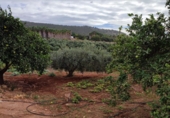 Finca rústica en venda a Arcos de la Frontera ref.: TR210271 foto