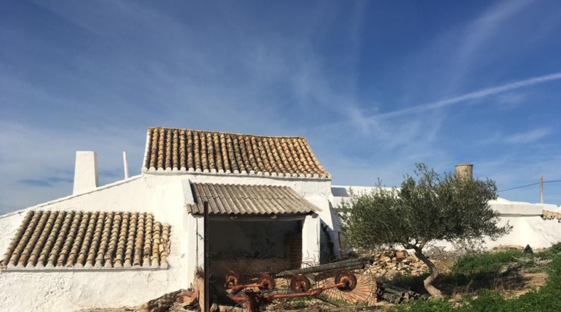 Cádiz - Arcos de la Frontera - 18000m2