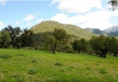 Finca rústica en venda a El Bosque ref.: TR208516 foto