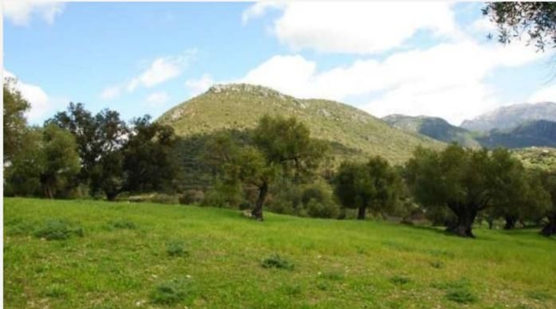 Cádiz - El Bosque - 25000m2