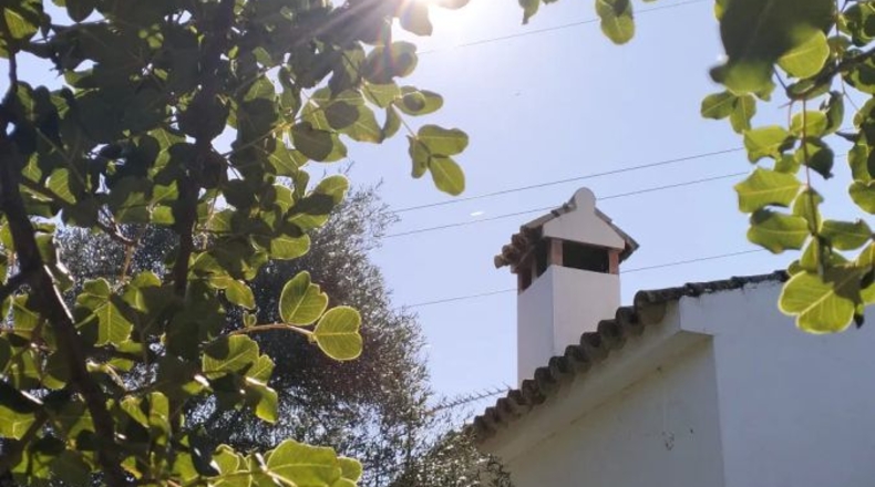 Cádiz - El Bosque - 25000m2