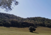 Finca rústica en venda a El Bosque ref.: TR208516 foto