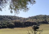 Finca rústica en venda a El Bosque ref.: TR208516 foto