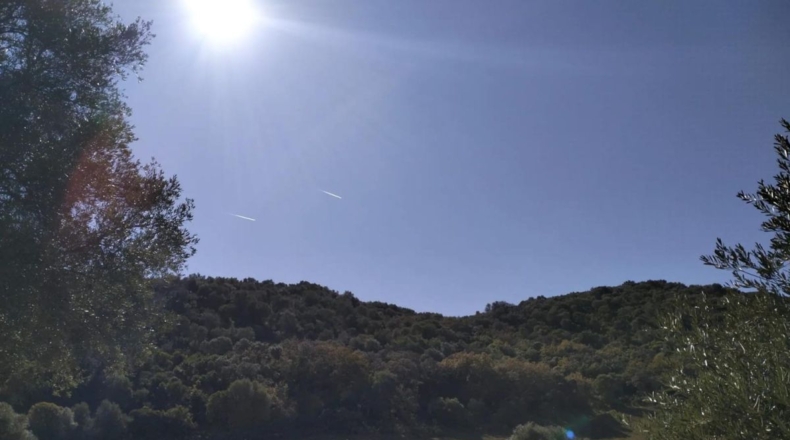 Cádiz - El Bosque - 25000m2