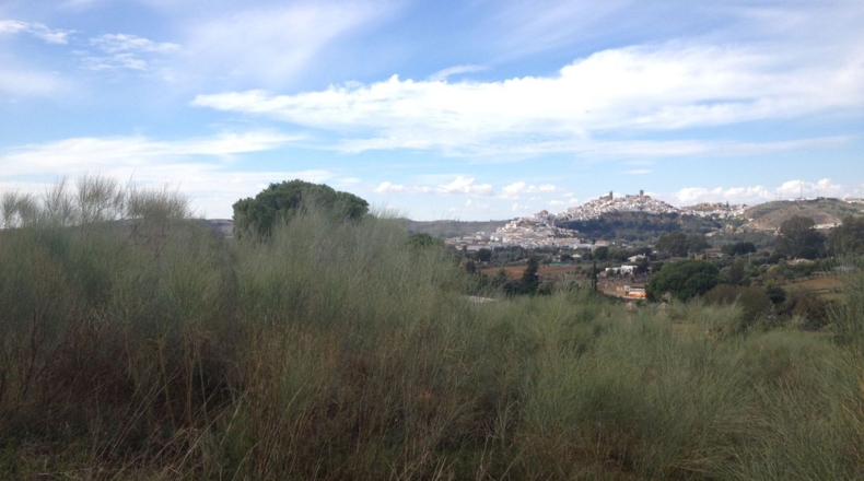 Cádiz - Arcos de la Frontera - 2500m2
