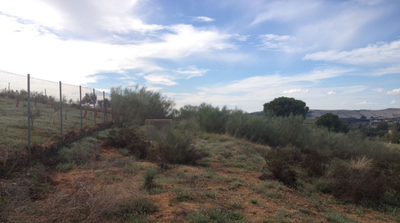 Cádiz - Arcos de la Frontera - 2500m2
