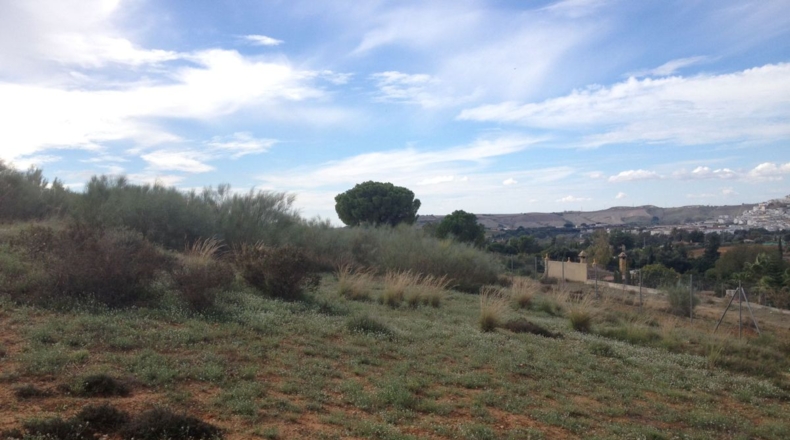 Cádiz - Arcos de la Frontera - 2500m2
