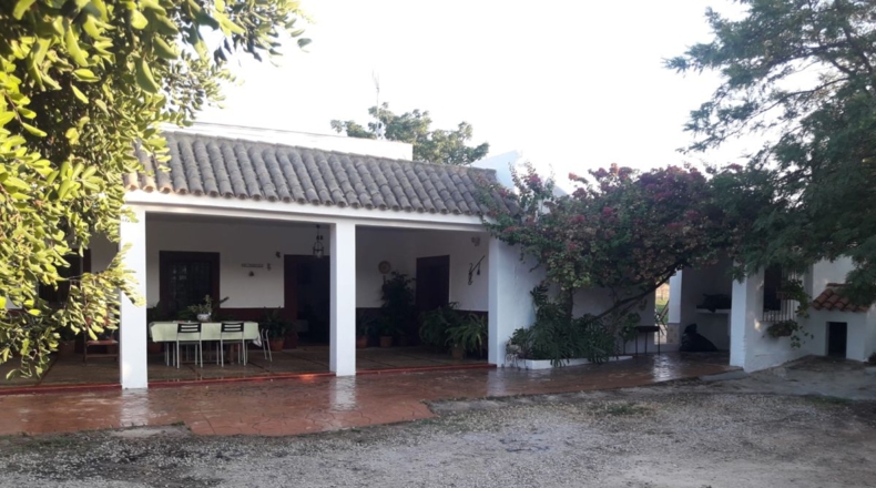 Cádiz - Arcos de la Frontera - 20000m2