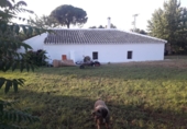 Finca rústica en venda a Arcos de la Frontera ref.: TR210253 foto