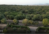 Finca rústica en venda a Arcos de la Frontera ref.: TR209942 foto