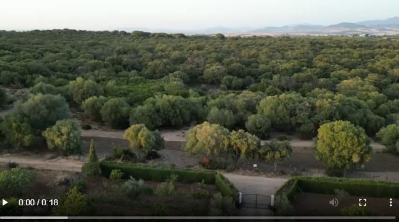 Cádiz - Arcos de la Frontera - 125000m2