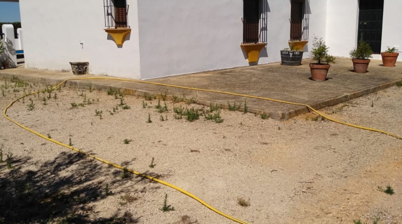 Cádiz - Arcos de la Frontera - 125000m2