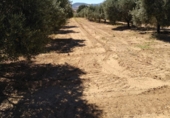 Finca rústica en venda a Arcos de la Frontera ref.: TR209942 foto