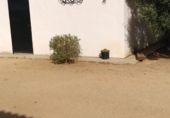 Finca rústica en venda a Arcos de la Frontera ref.: TR209942 foto