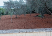 Country house with land for sale in Arcos de la Frontera ref: TR251739 photo