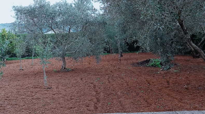 Cádiz - Arcos de la Frontera - 2500m2
