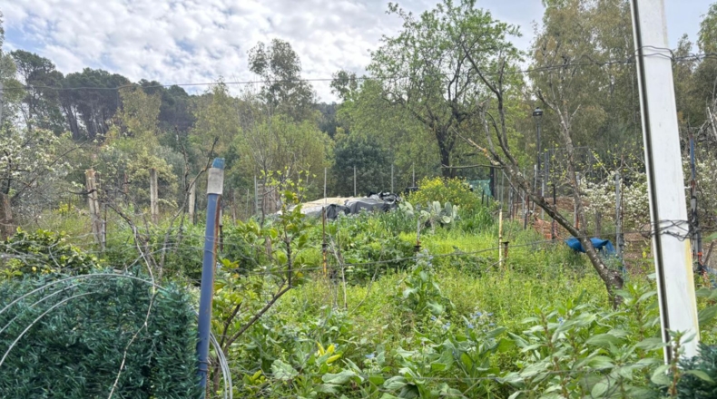 Cádiz - El Bosque - 260m2