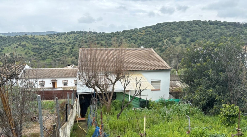 Cádiz - El Bosque - 260m2