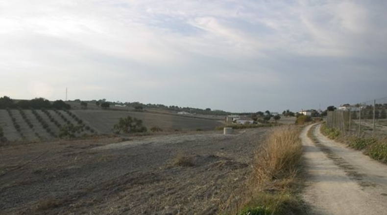 Cádiz - Arcos de la Frontera - 12450m2
